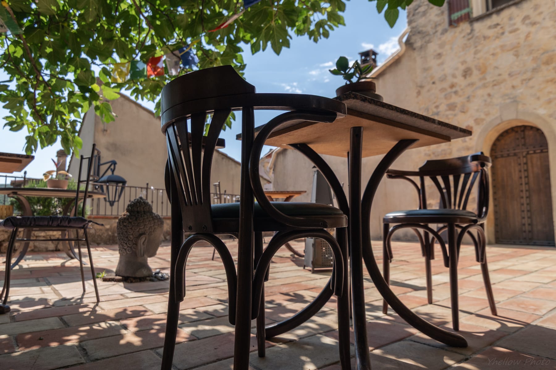 Coin repas ombragé sous un figuier sur la terrasse du Couvent des Pallières